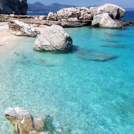 Purple Flower Suite Apartment Cala Gonone Dış mekan fotoğraf